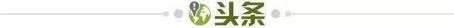 kaiyun-【早报】无颜面对江东父老！意足协主席引咎辞职